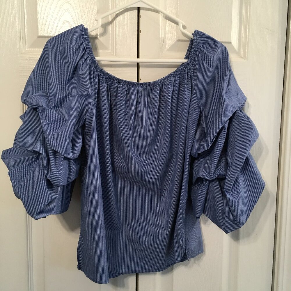 Zara Ruffle Sleeve Top - Picture 5 of 5
